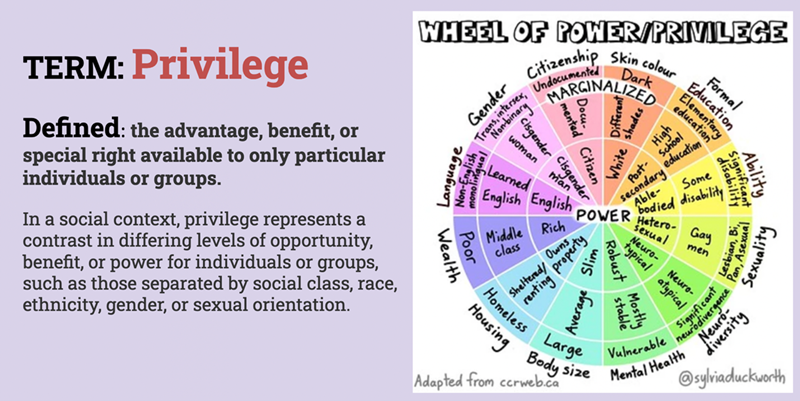 Privilege_Wheel