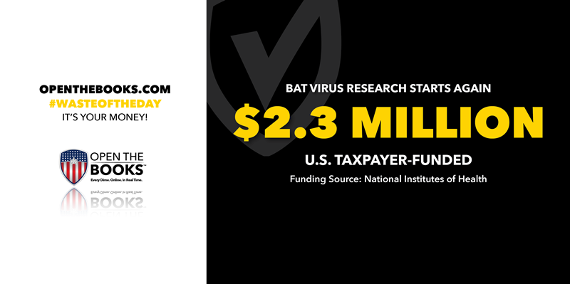 2_Bat_Virus_Research_Starts_Again