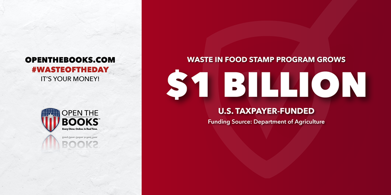 2_Food_Stamp_Program_Waste