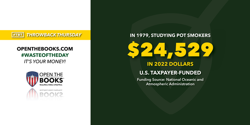 4_1979_Studying_Pot_Smokers