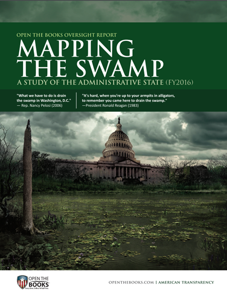 Mapping_The_Swamp_Cover