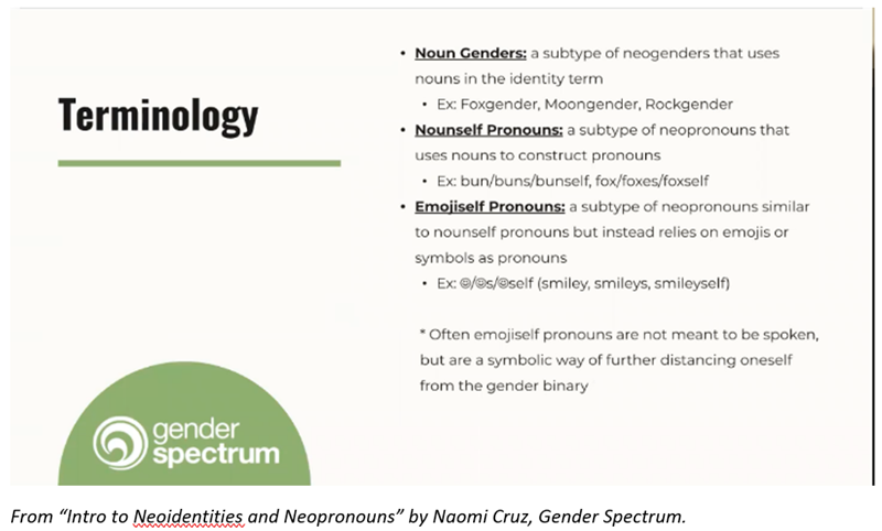 Neo_Pronoun_Terminology