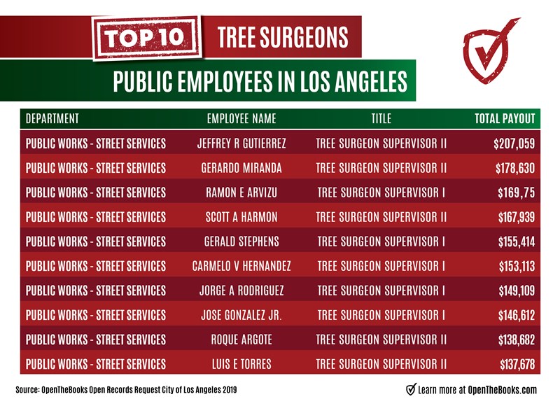 Top_10_tree_surgeons
