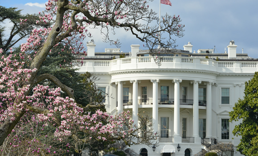 The_White_House8